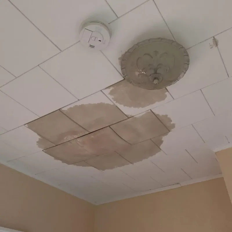Ceiling Water Damage Repair in Star City, WV