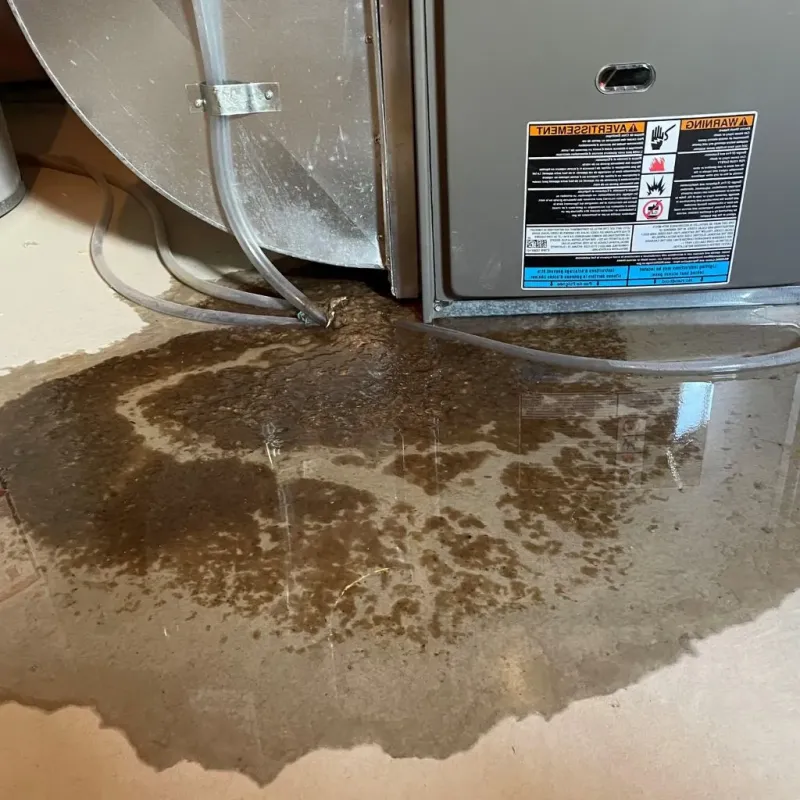 Pipe Burst and Leak Restoration in Star City, WV