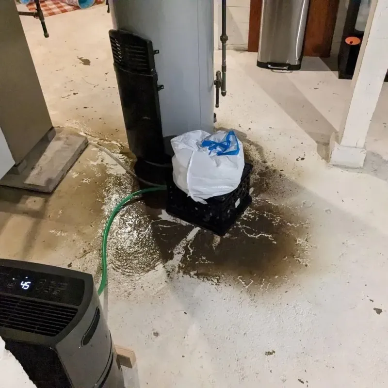 Sewage Backup Cleanup Service in Star City, WV